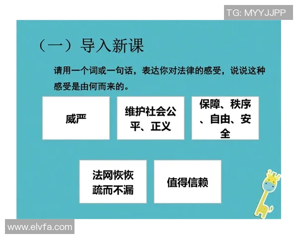 足球明星的法律边界与道德责任探讨